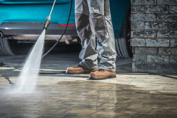 Best Roof Washing  in Marsing, ID